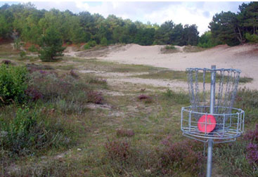 disc-golf